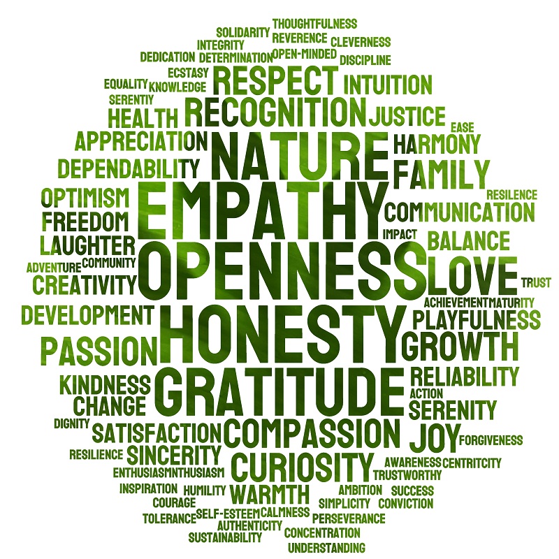 Value Matters - Social Consensus - by Ivo Meier